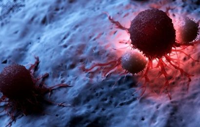 ¿Qué significan los linfocitos bajos y cómo subirlos?