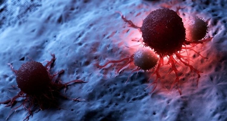 Qué significan los linfocitos bajos y cómo subirlos