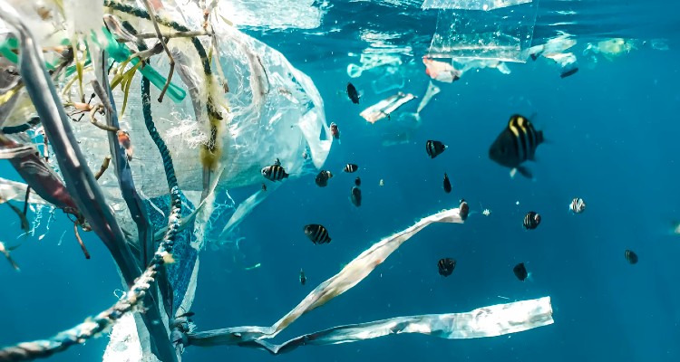 Plastico en los oceanos