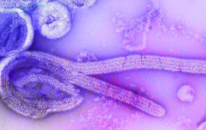 La República Democrática del Congo declara un nuevo brote de ébola en una provincia del noroeste