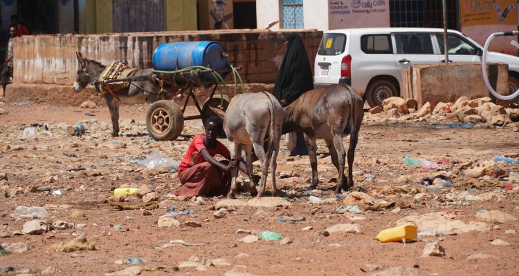 Cuerno de África: Más 15 millones de personas corren un alto riesgo de hambruna a causa de la sequía