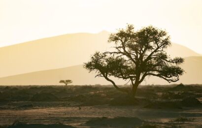 Estado del clima en África: la salud ambiental del continente en alerta roja