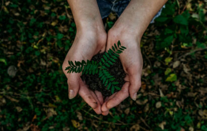Qué pasaría si no cuidamos el medio ambiente