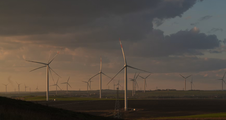 Molinos de viento